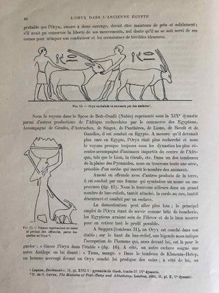 L’oryx dans l’ancienne Égypte. Suivi d’une étude "Le nom égyptien de l’oryx" par Victor Loret.