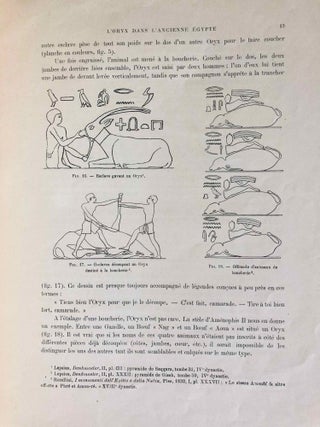 L’oryx dans l’ancienne Égypte. Suivi d’une étude "Le nom égyptien de l’oryx" par Victor Loret.[newline]M1896-19.jpg