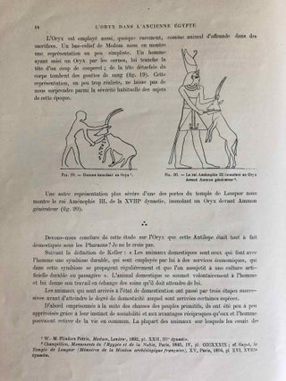 L’oryx dans l’ancienne Égypte. Suivi d’une étude "Le nom égyptien de l’oryx" par Victor Loret.[newline]M1896-20.jpg