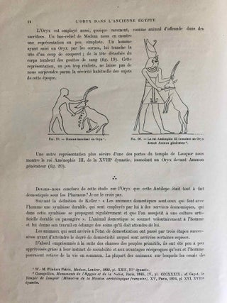 L’oryx dans l’ancienne Égypte. Suivi d’une étude "Le nom égyptien de l’oryx" par Victor Loret.