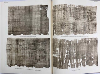 Papyrus Reisner I: The records of a building project in the reign of Sesostris I. Papyrus Reisner II: Account of the dockyard workshop at This in the reign of Sesostris I. Papyrus Reisner III: The records of a building project in the early XIIth dynasty. Papyrus Reisner IV: Personal accounts of the early XIIth dynasty (complete set). Transcription and commentary[newline]M1907c-14.jpg