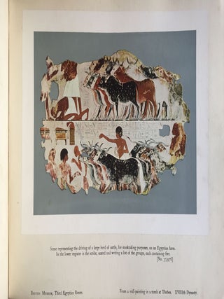 Wall decorations of Egyptian tombs. Illustrated from examples in the British Museum.[newline]M1911-03.jpg