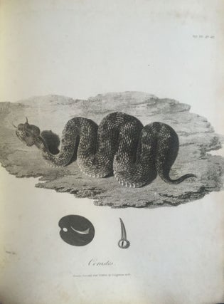 Travels to Discover the Source of the Nile, in the Years 1768, 1769, 1770, 1771, 1772, & 1773. Vol. VIII, last one, containing all plates and maps.[newline]M1913a-27.jpg