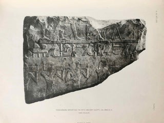 Egyptological Researches. Vol. I: Results of a Journey in 1904. Vol. II: Results of a Journey in 1906. Vol. III: The bilingual decrees of Philae (complete set)[newline]M1933a-09.jpg