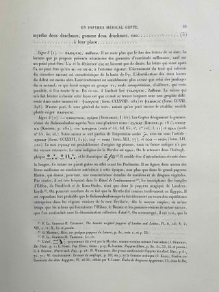 Un papyrus m&eacute;dical copte[newline]M1976b-18.jpeg