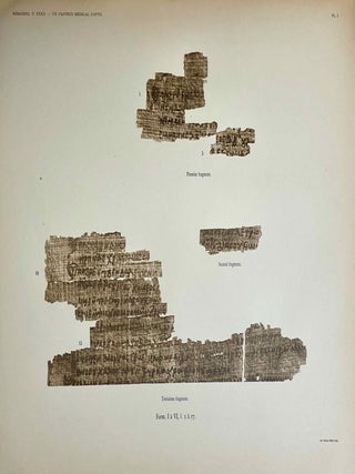 Un papyrus m&eacute;dical copte[newline]M1976b-21.jpeg
