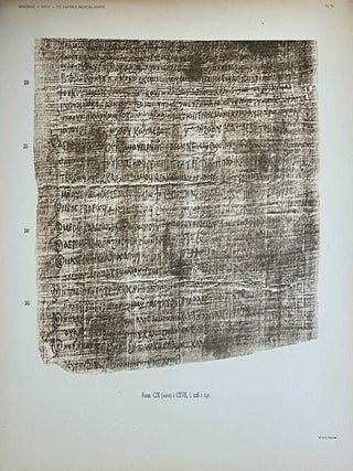 Un papyrus m&eacute;dical copte[newline]M1976b-22.jpeg
