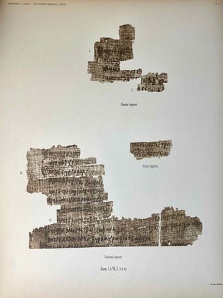 Un papyrus m&eacute;dical copte