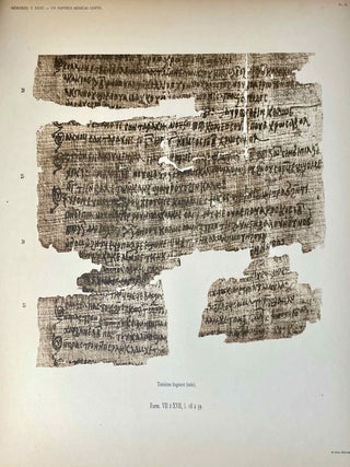Un papyrus m&eacute;dical copte