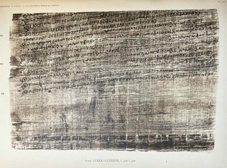 Un papyrus médical copte