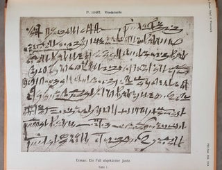 Ein Fall abgekürzter Justiz. Aus einem Papyrus der Sammlung Golenischeff.[newline]M1980a-04.jpeg