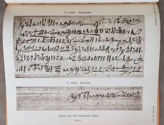 Ein Fall abgekürzter Justiz. Aus einem Papyrus der Sammlung Golenischeff.[newline]M1980a-05.jpeg
