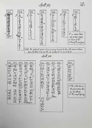 The Egyptian Coffin Texts. Vol. VII: Texts of spells 787-1185[newline]M1989x-04.jpeg
