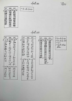The Egyptian Coffin Texts. Vol. VII: Texts of spells 787-1185[newline]M1989x-05.jpeg