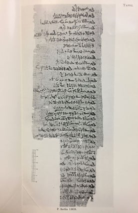 Eine ägyptische Schulübung in demotischer Schrift[newline]M2039-05.jpg