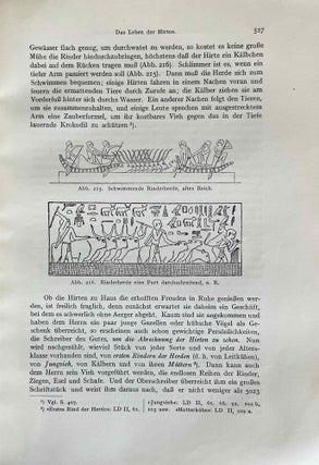 Aegypten und aegyptisches Leben im Altertum. Neu bearbeitet von Hermann Ranke.[newline]M2040-12.jpeg