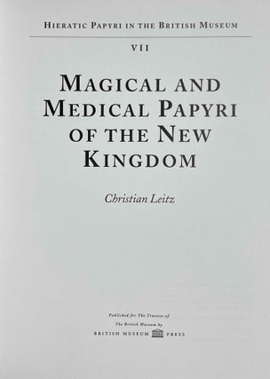 Magical and Medical Papyri of the New Kingdom