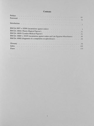 Magical and Medical Papyri of the New Kingdom[newline]M2073c-02.jpeg