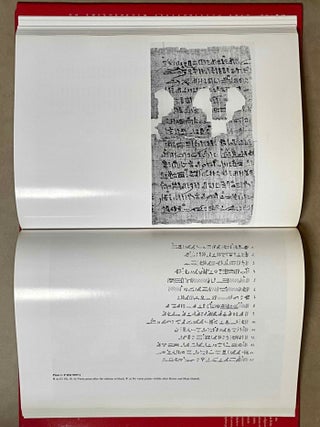 Magical and Medical Papyri of the New Kingdom[newline]M2073c-05.jpeg