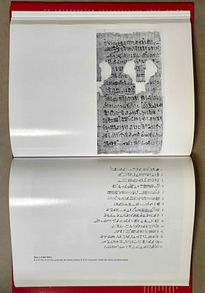 Magical and Medical Papyri of the New Kingdom