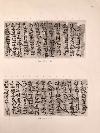 Les papyrus hiératiques No. 1115, 1116 A et 1116 B de l’Ermitage Impérial à St-Pétersbourg[newline]M2083-013.jpeg