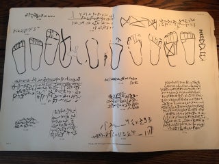 Catalogue of the Demotic Graffiti of the Dodecaschoenus. Vol. I: Text. Vol. II: Plates (complete set)[newline]M2085-22.jpg