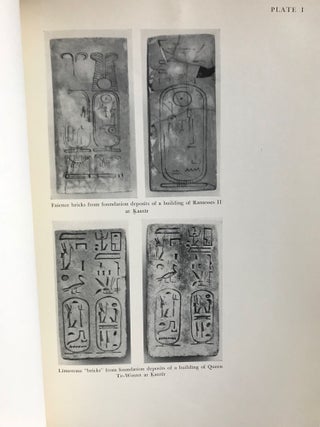 Glazed Tiles from a Palace of Ramesses II at Kantir[newline]M2098b-06.jpg