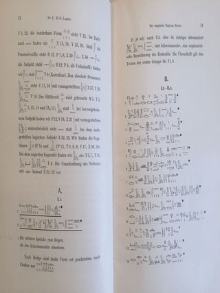 Der magische Papyrus Harris