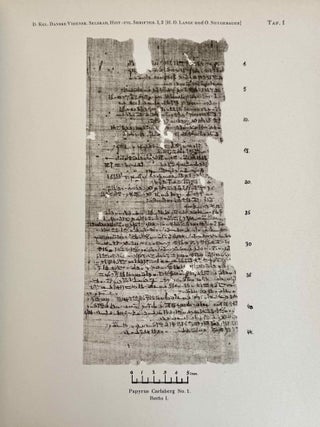 Papyrus Carlsberg No. I. Ein hieratisch-demotischer kosmologischer Text.[newline]M2146d-10.jpeg