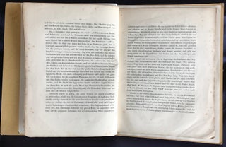 Denkmäler aus Aegypten und Aethiopien. Vorläufige Nachricht über die Expedition, ihre Ergebnisse und deren Publikation.