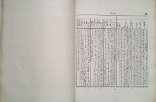 Das Todtenbuch der Ägypter. Nach dem hieroglyphischen Papyrus in Turin. Mit einem Vorworte zum ersten Male herausgegeben.[newline]M2164-05.jpg