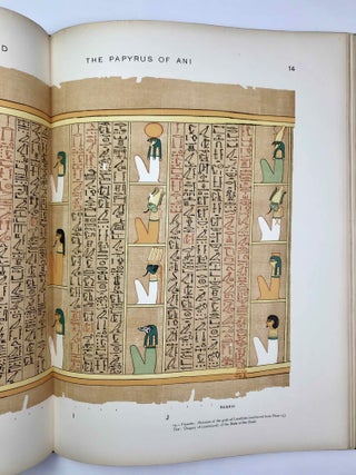 The Book of the Dead. Facsimile of the Papyrus of Ani in the British Museum.[newline]M2171a-11.jpeg