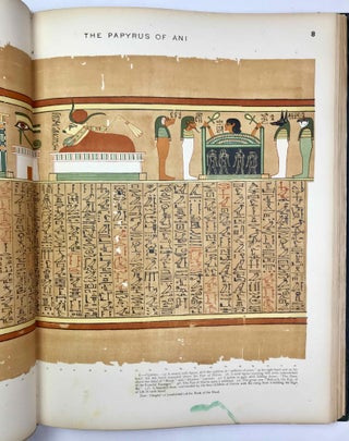 The Book of the Dead. Facsimile of the Papyrus of Ani in the British Museum.[newline]M2171a-12.jpeg