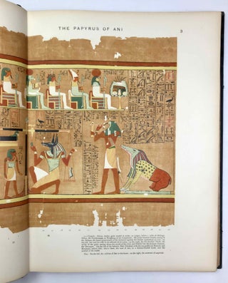 The Book of the Dead. Facsimile of the Papyrus of Ani in the British Museum.[newline]M2171a-13.jpeg