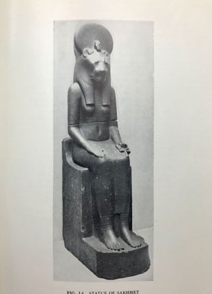 Statues of the Goddess Sakhmet[newline]M2186-07.jpeg