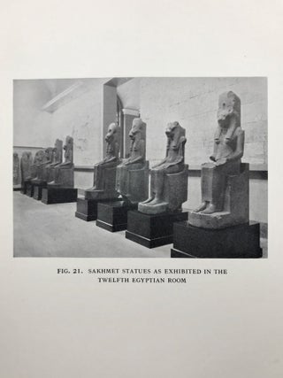 Statues of the Goddess Sakhmet[newline]M2186-08.jpeg