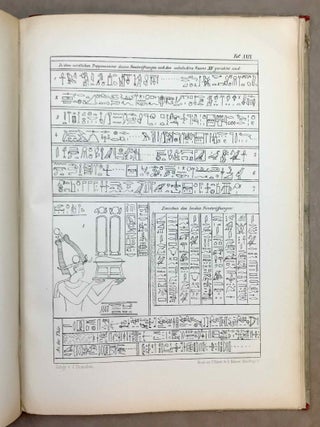 Baugeschichte des Denderatempels und Beschreibung der einzelnen Theile des Bauwerkes nach den an seinen Mauern befindlichen Inschriften[newline]M2191-12.jpeg
