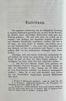 Papyros Ebers. Das älteste Buch über Heilkunde. Aus dem Aegyptischen zum erstenmal vollständig übersetzt.[newline]M2196-06.jpeg