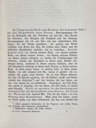 Papyros Ebers. Das älteste Buch über Heilkunde. Aus dem Aegyptischen zum erstenmal vollständig übersetzt.[newline]M2196-10.jpeg