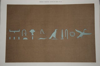 Egyptian Texts of the Earliest Period from the Coffin of Amamu in the British Museum[newline]M2227-05.jpg