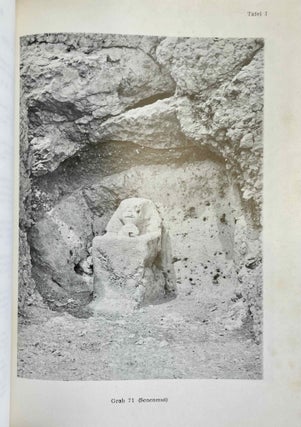 Die Darstellungen des regierenden Königs und seiner Familienangehörigen in den Privatgräbern der 18. Dynastie[newline]M2253a-08.jpeg