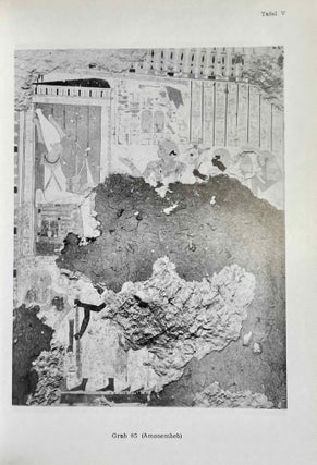 Die Darstellungen des regierenden Königs und seiner Familienangehörigen in den Privatgräbern der 18. Dynastie[newline]M2253a-09.jpeg