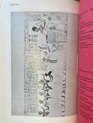 Die Darstellungen des regierenden Königs und seiner Familienangehörigen in den Privatgräbern der 18. Dynastie[newline]M2253a-10.jpeg