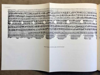 Le papyrus magique illustré de Brooklyn (Brooklyn Museum 47.218.156)[newline]M2260b-18.jpg