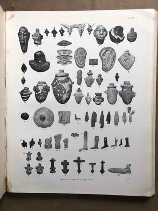 Amulets. Illustrated by the Egyptian collection in University College, London.[newline]M2281a-07.jpg
