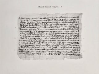 The Hearst Medical Papyrus. Hieratic text in 17 facsimile plates in collotype with introduction and vocabulary.[newline]M2299a-054.jpeg