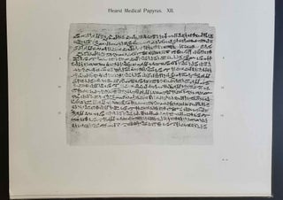 The Hearst Medical Papyrus. Hieratic text in 17 facsimile plates in collotype with introduction and vocabulary.[newline]M2299a-09.jpeg