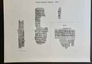 The Hearst Medical Papyrus. Hieratic text in 17 facsimile plates in collotype with introduction and vocabulary.[newline]M2299a-10.jpeg