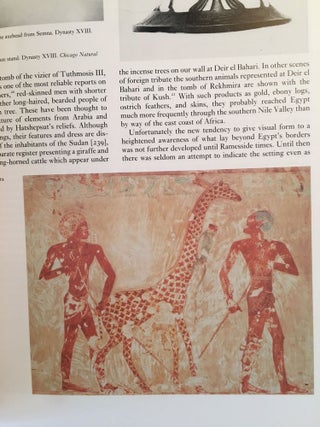The Art and Architecture of Ancient Egypt. Revised By William Kelly Simpson.[newline]M2331-09.jpg