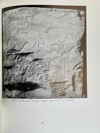 The Art and Architecture of Ancient Egypt[newline]M2331b-07.jpeg